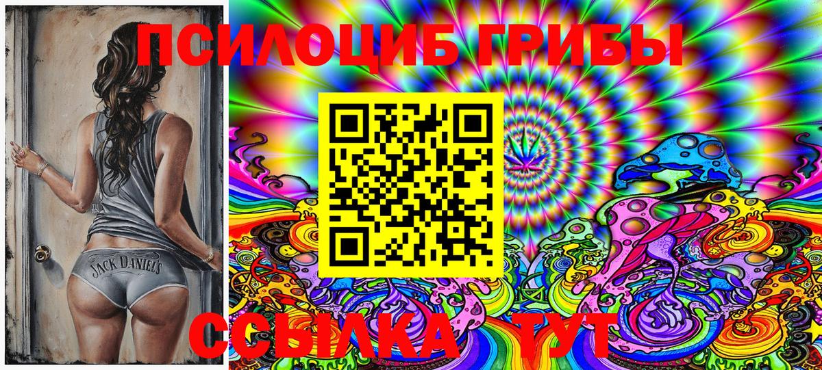 Феодосия  Галлюциногенные грибы Psilocybine cubensis  Вход с VPN 